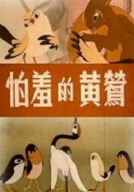 姐妹情谊的姐妹情谊