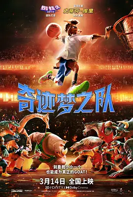 岛国午夜视频